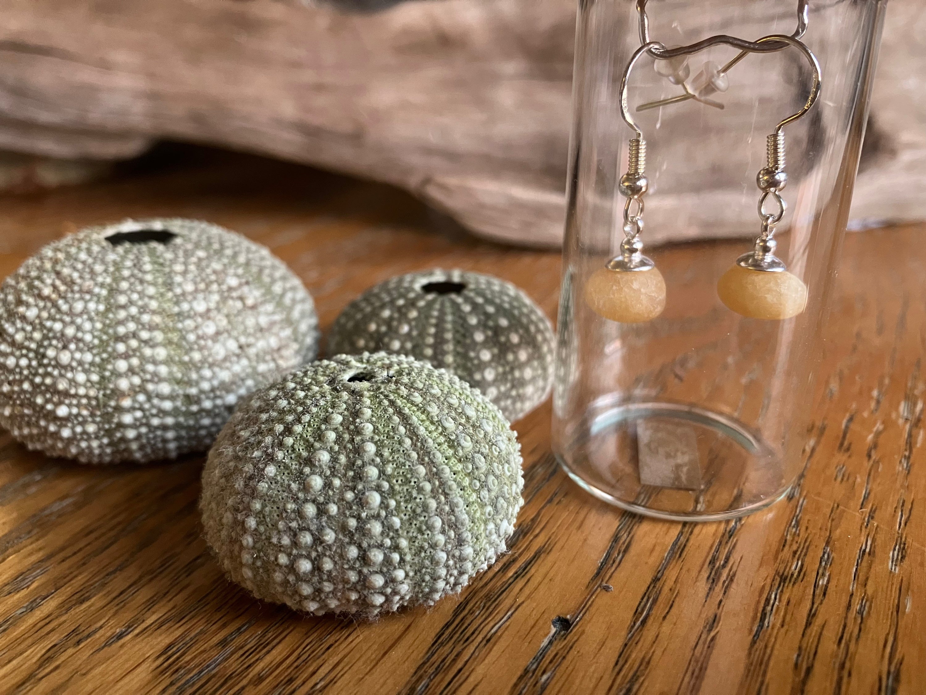 Sea urchin shells and light yellow stone bead earrings for Beautiful Scottish Sea Quartz 925 Earrings