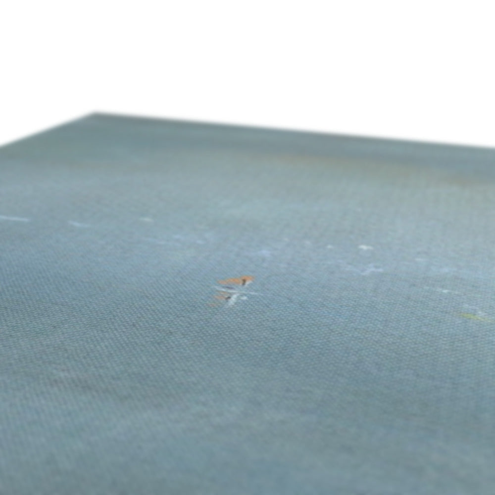 Orange black insect charm on teal surface in Boats In The Mist Canvas