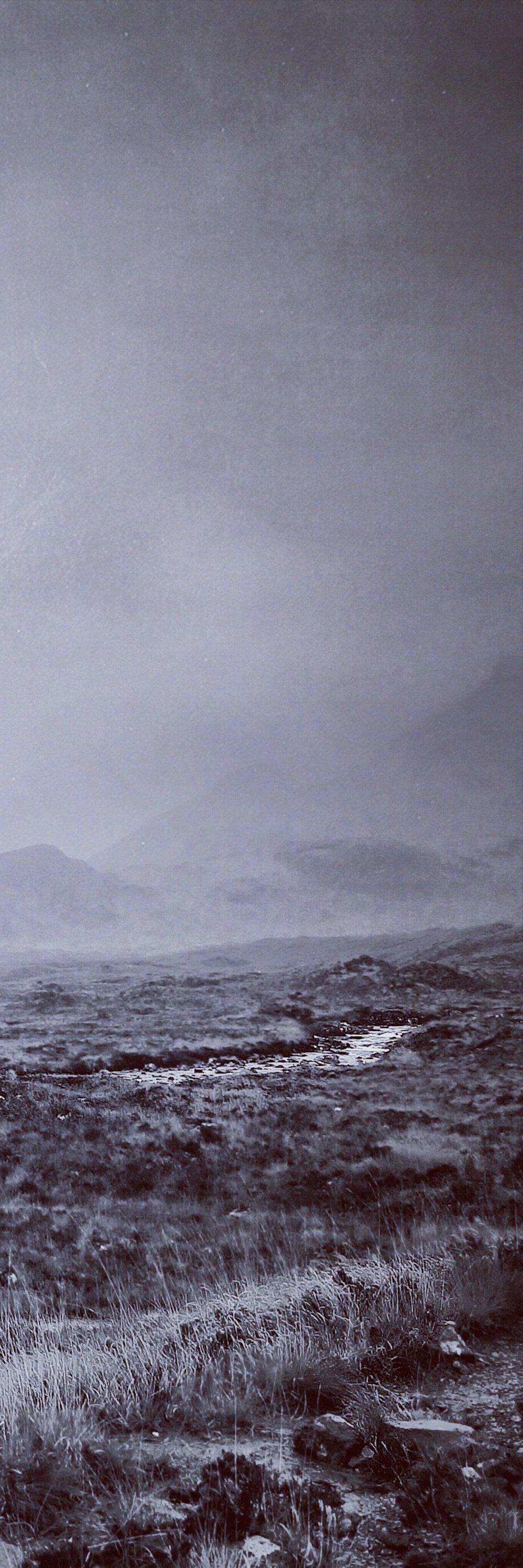 Misty desolate landscape with winding stream and sparse vegetation in Scotland wall art