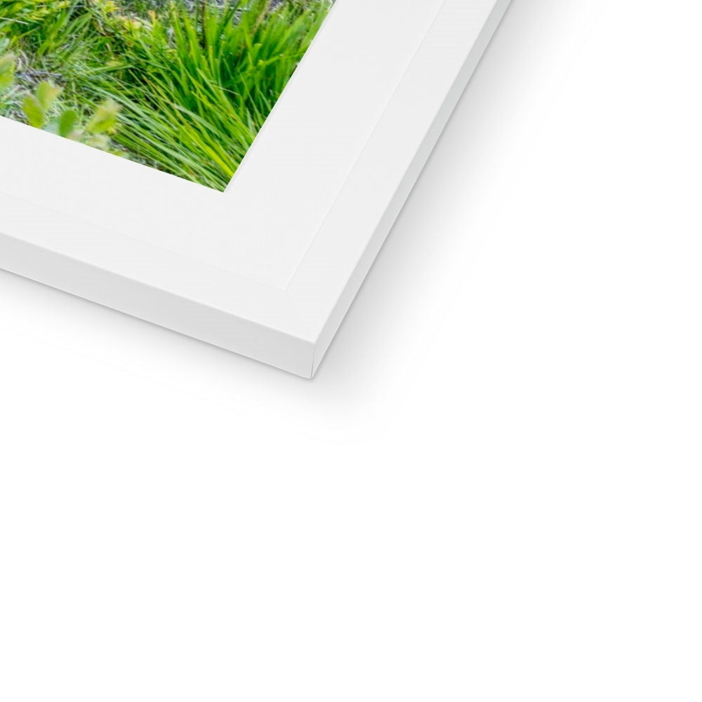 White matte frame with Buachaille Etive Mor dawn green grass print