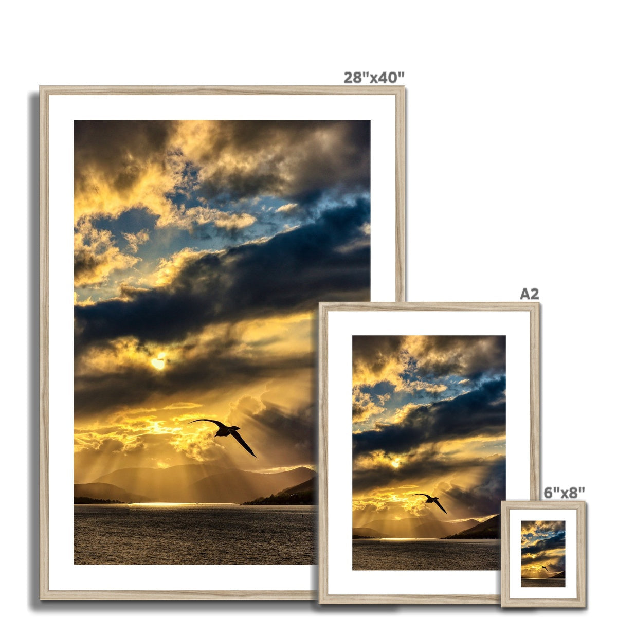 28x40 Gold-Framed Clyde Seagull Sunset Print with Bird and Clouds