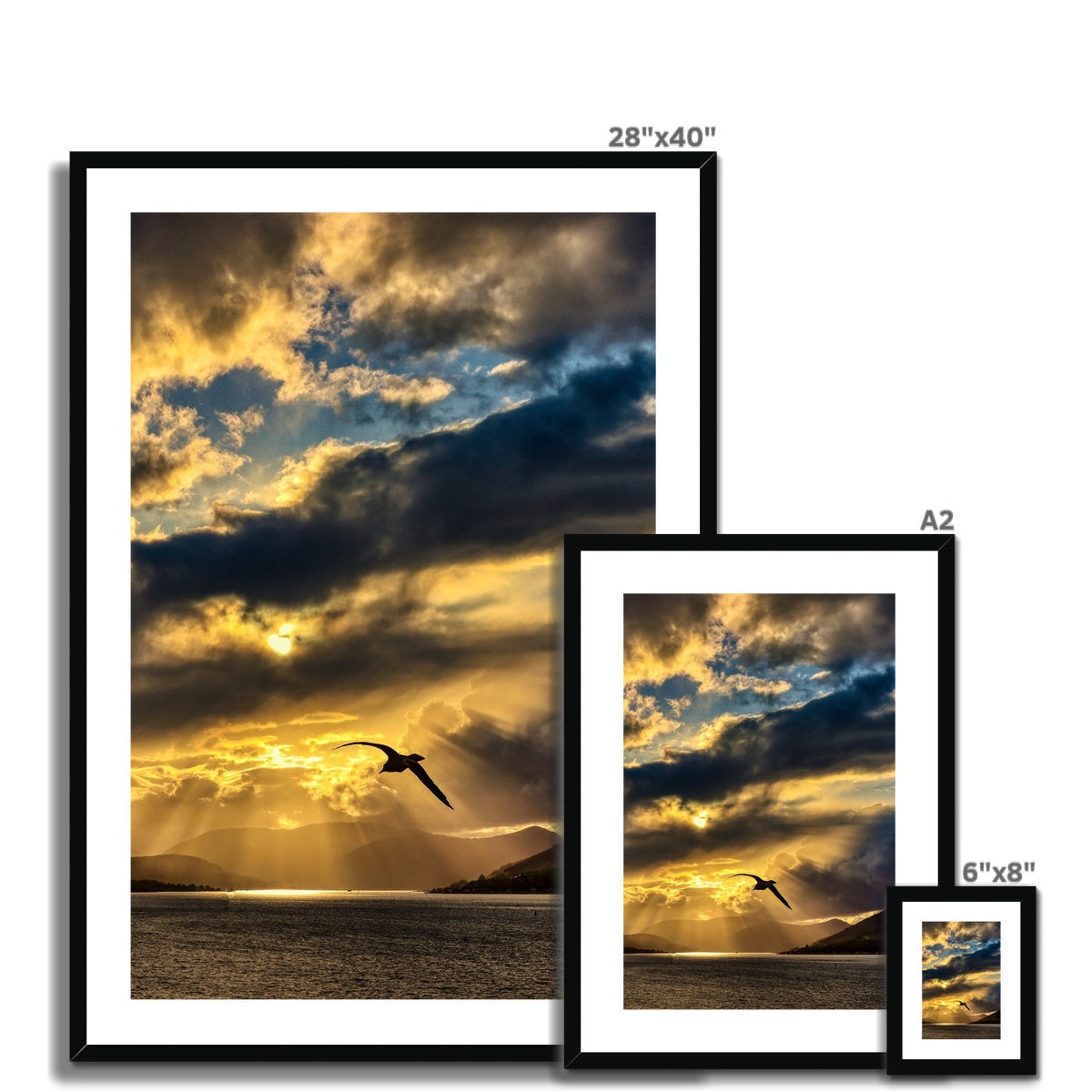 28x40 Framed Clyde Seagull Sunset Print with Bird and Clouds
