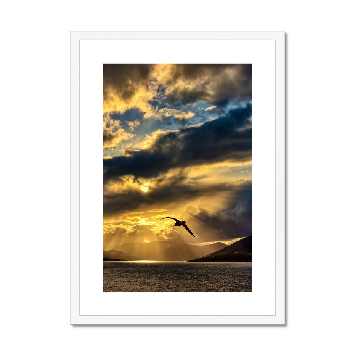 Golden sunset seagull silhouette in A Clyde Seagull Sunset print