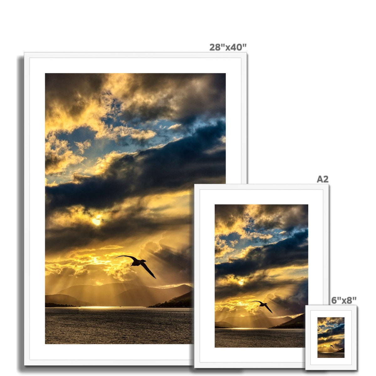 28x40 Framed Clyde Seagull Sunset Art Print with Flying Seagull