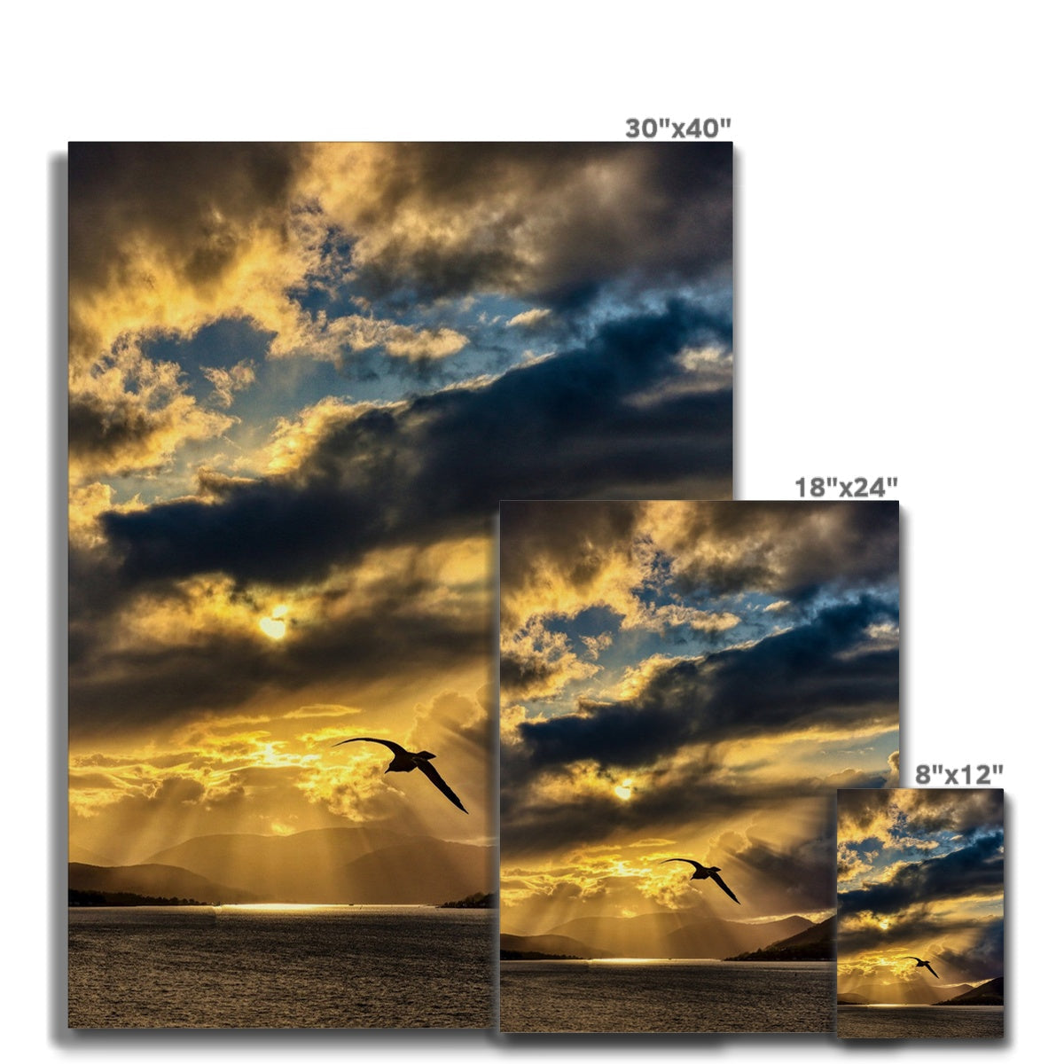 30x40 inch A Clyde Seagull Sunset canvas print with dramatic golden clouds