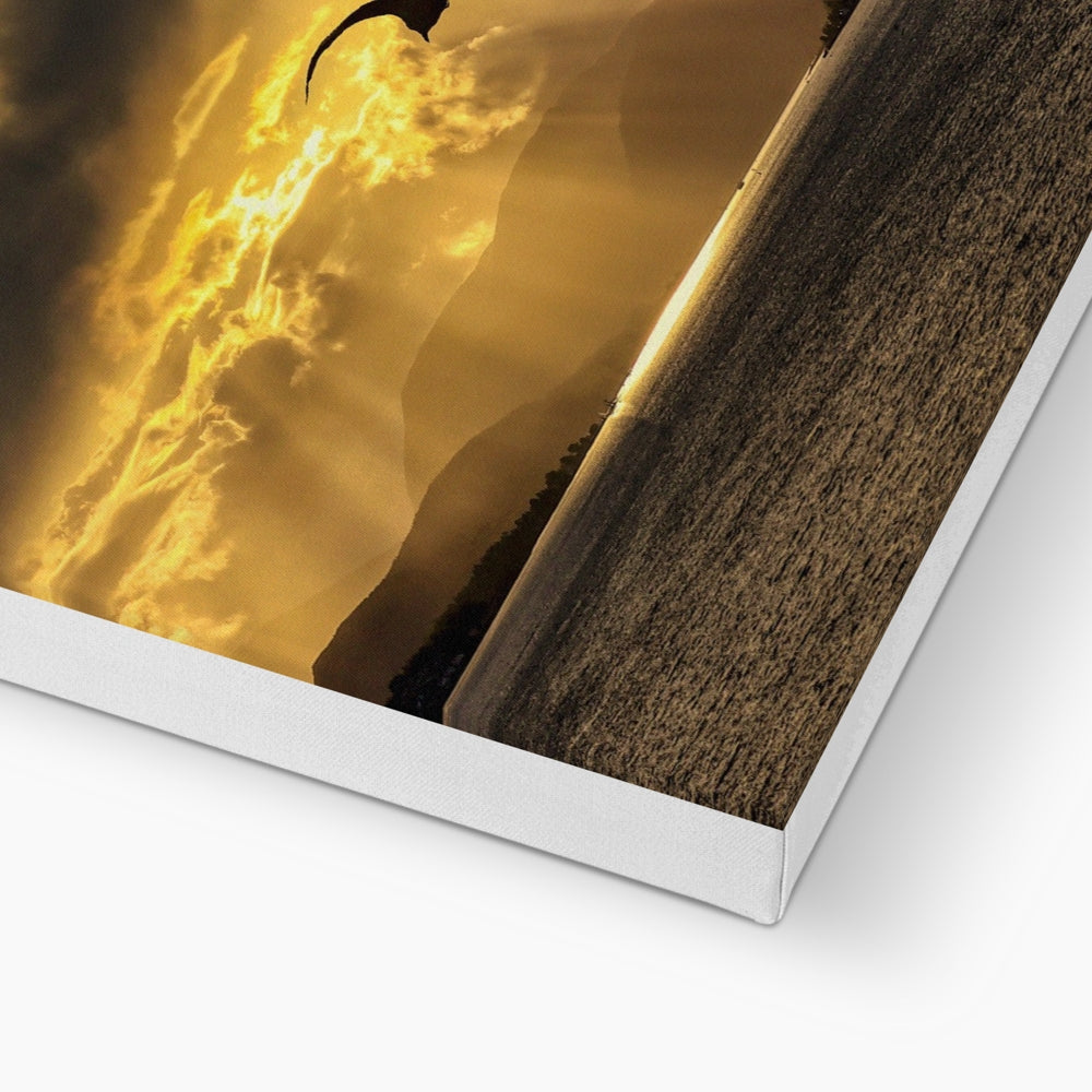 Gold sand dune canvas print with white frame in Clyde Seagull Sunset