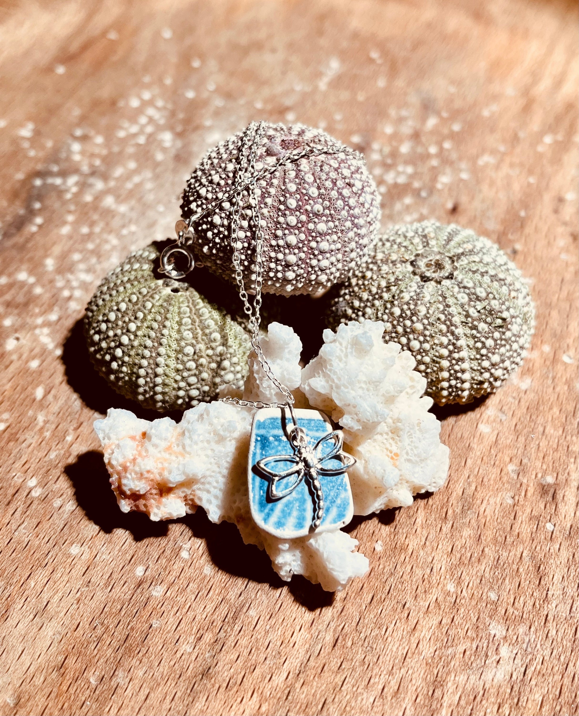 Silver dragonfly pendant on blue and white ceramic shard resting on white coral for Dragonfly 925 pendants