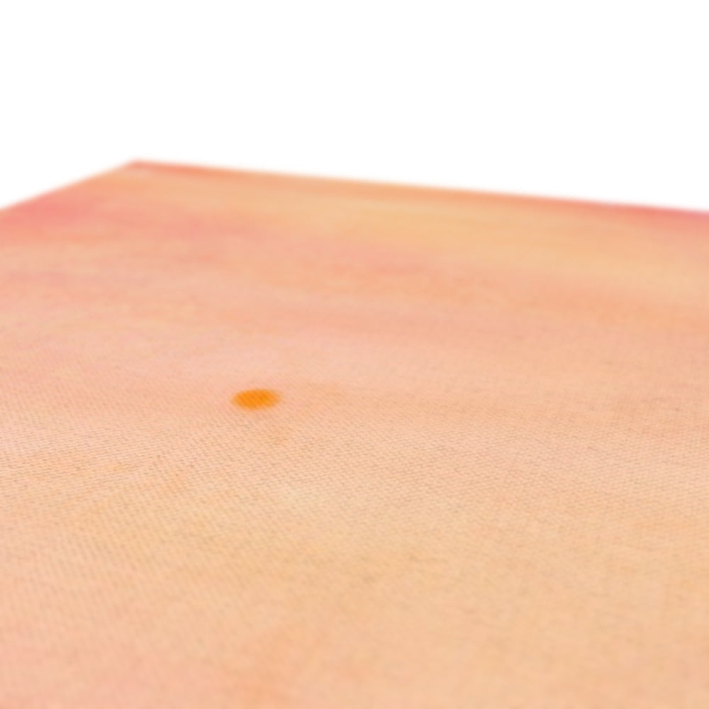 Orange dot sticker on skin in Edinburgh Castle Sunset canvas print