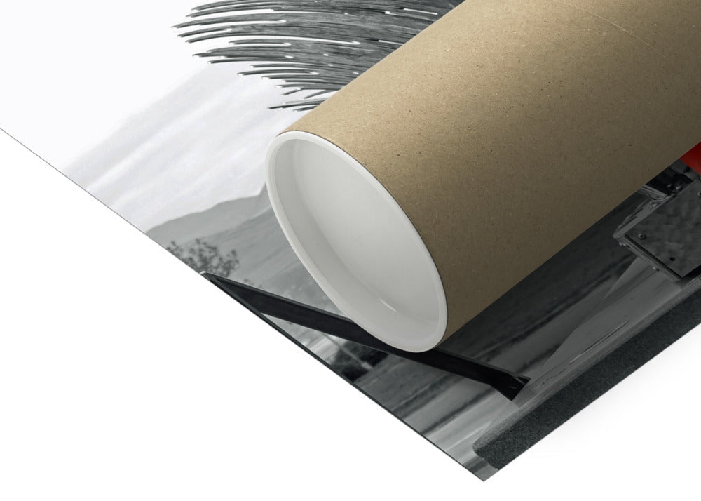 Brown cardboard tube with white interior atop black-and-white abstract art in Endeavour RED print