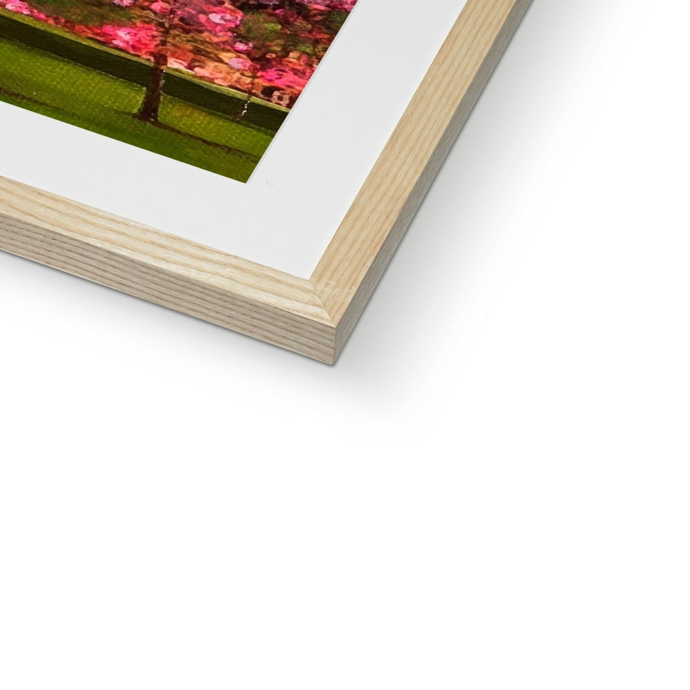 Wooden framed canvas print of Harrison Park Edinburgh cherry blossoms