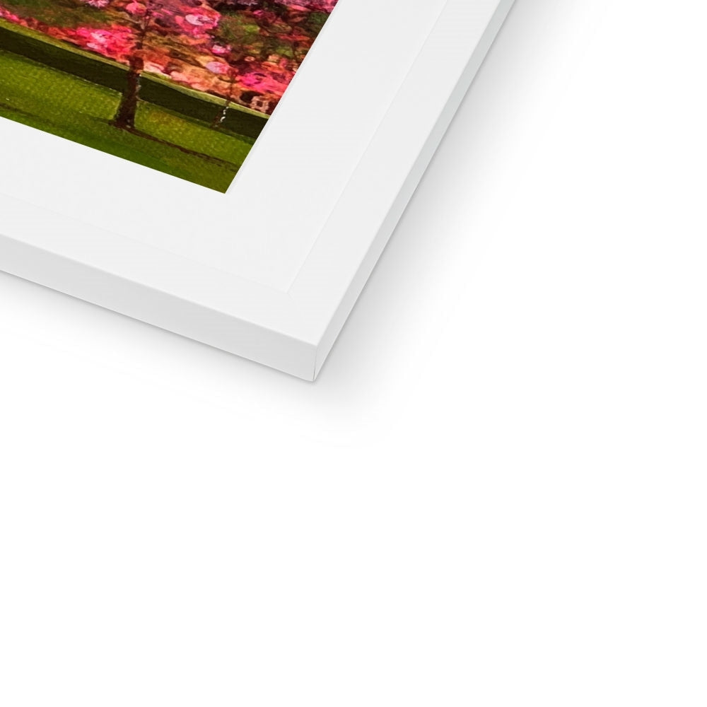 Pink cherry blossom tree canvas print in Harrison Park Edinburgh