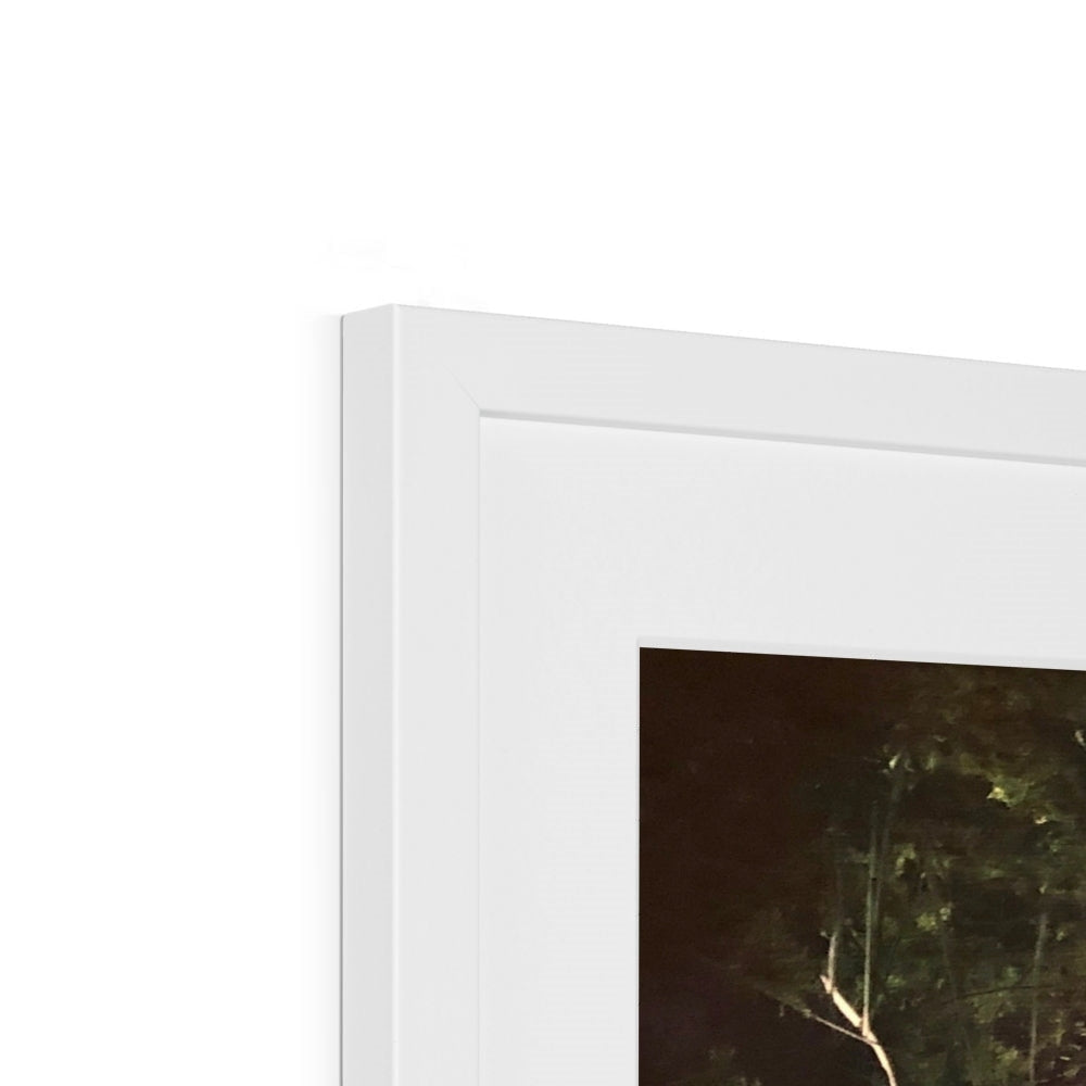 A Highland Moonlit Wood ii Art Prints - Highlands & Lowlands Gallery Scotland - Free Shipping Worldwide