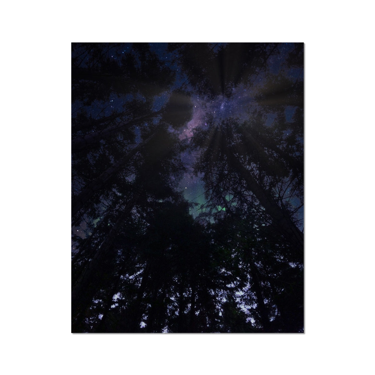 Dark starry Milky Way night sky poster with tree silhouette, Highland Wood Starlight Artist Proof print