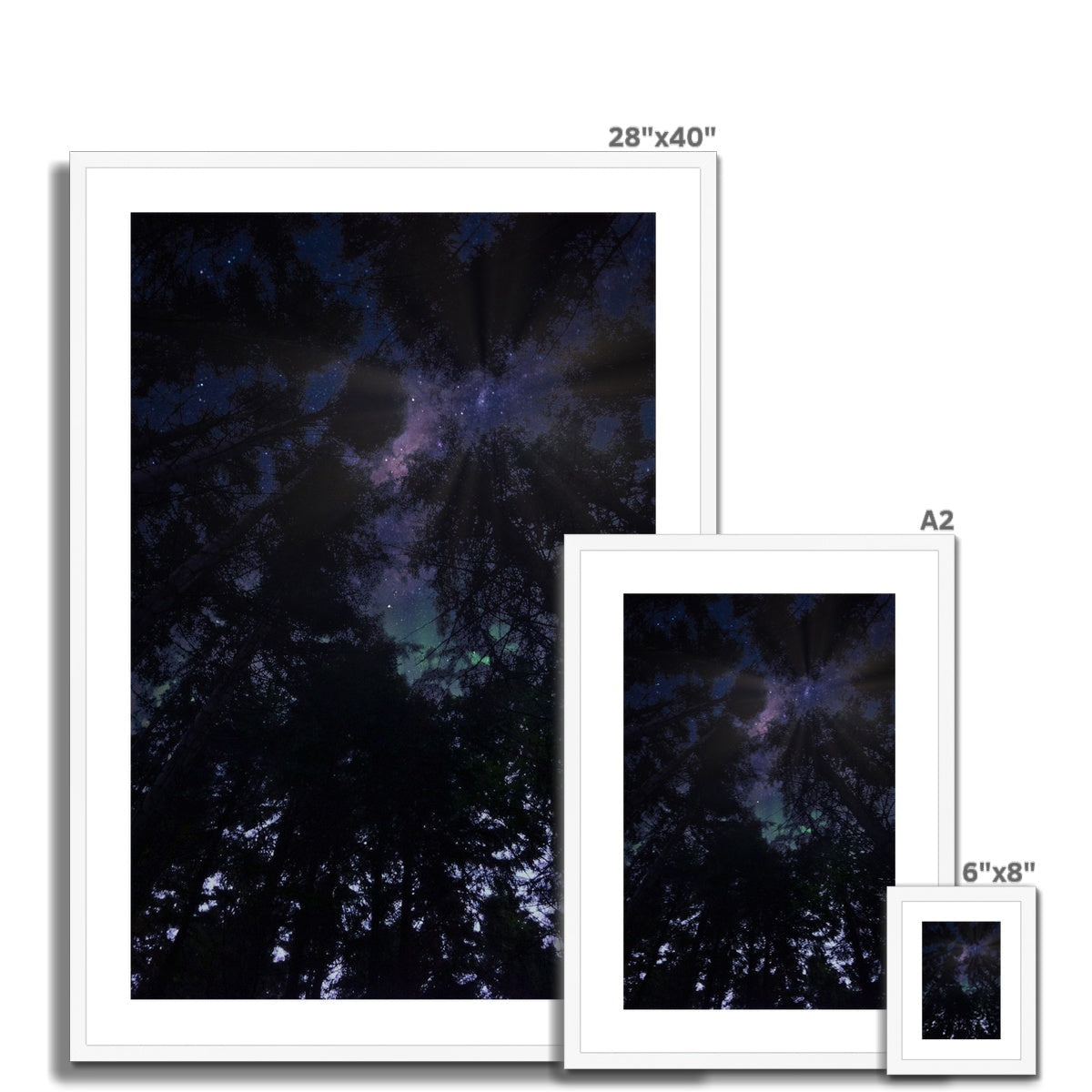 28x40 Framed Highland Wood Starlight Night Sky Print in Purple Blue