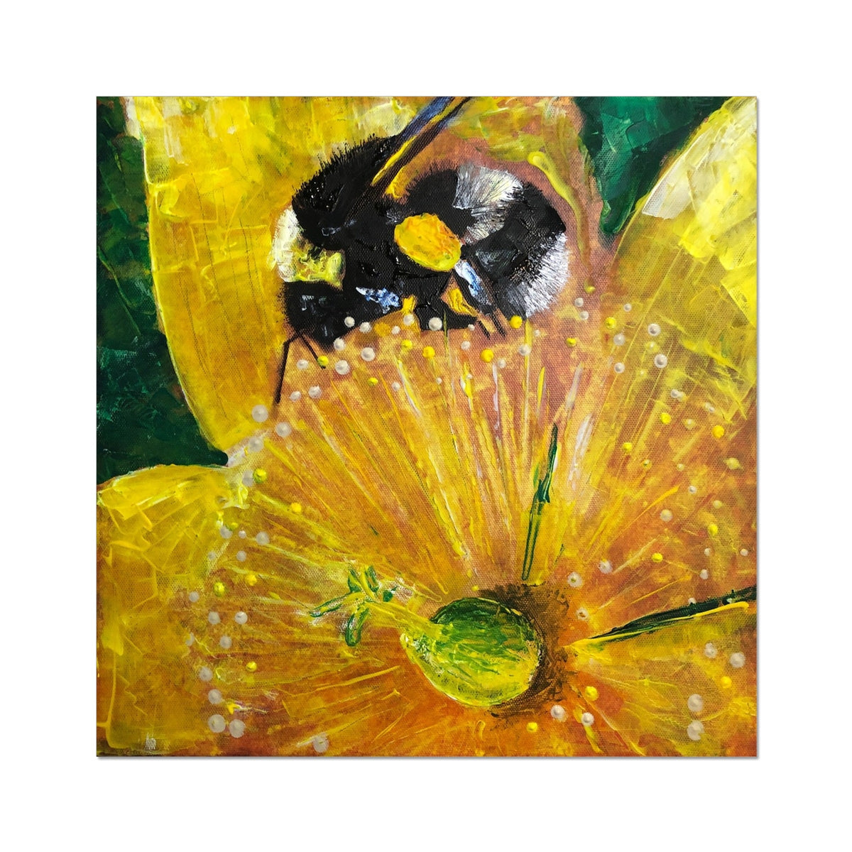 Yellow and black bumblebee on vibrant Hypericum flower painting print