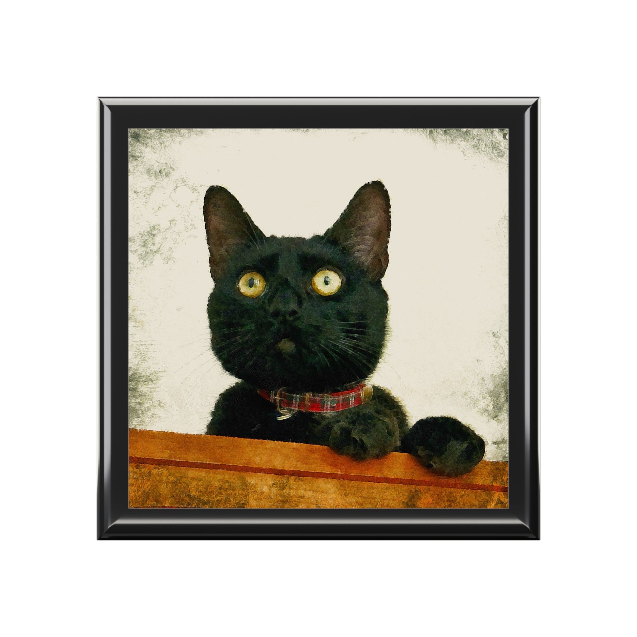 Juno black cat portrait in square frame with yellow eyes and plaid collar