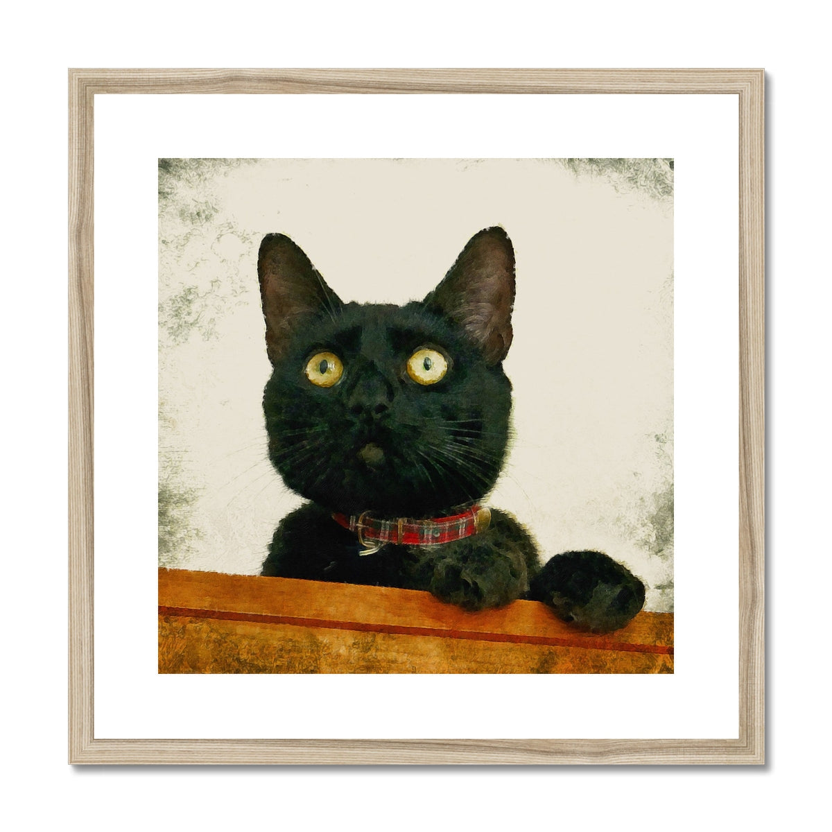 Juno black cat portrait with yellow eyes and red plaid collar in wood frame