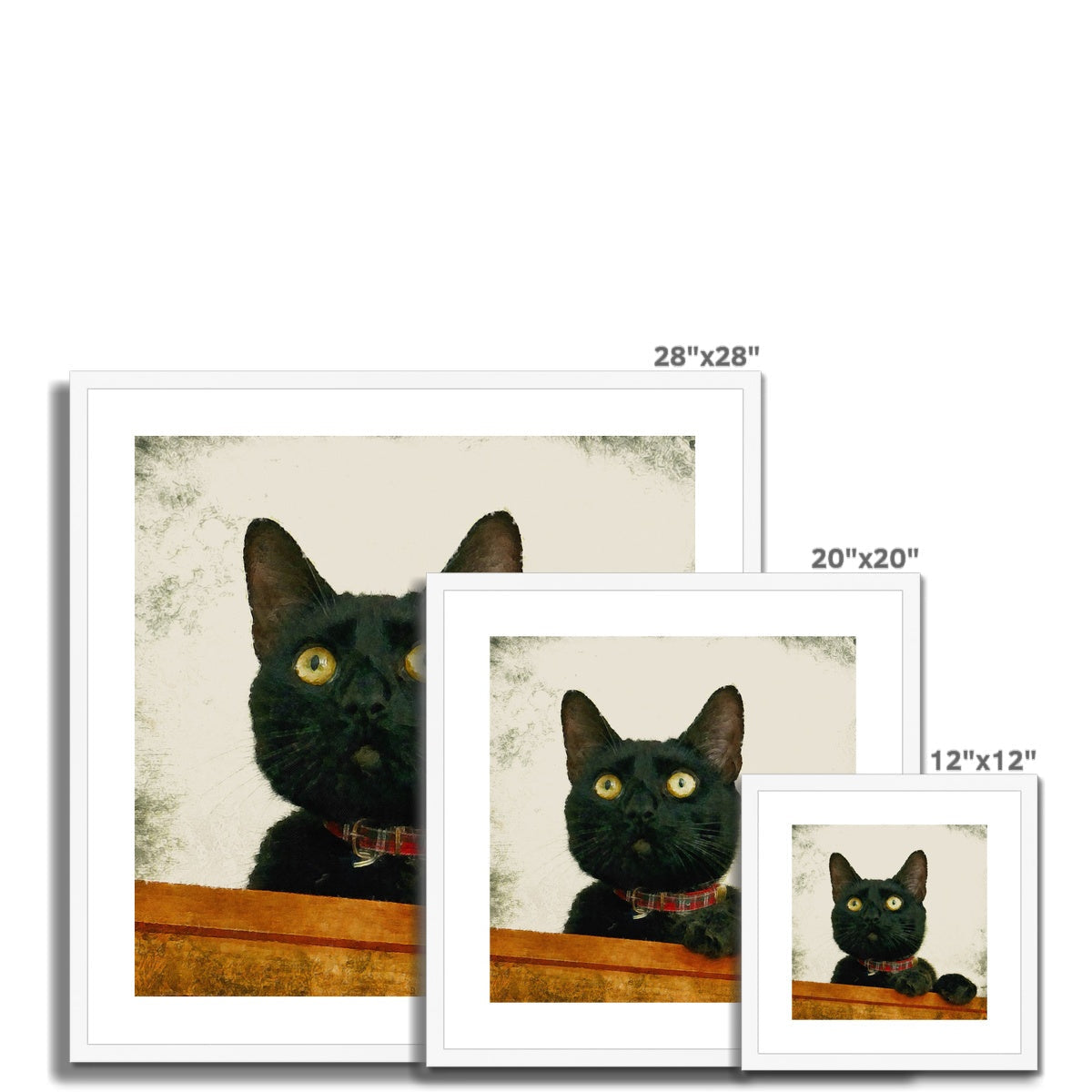 Black cat portrait art in white frames with glossy finish and red plaid collar, Juno pet prints Scotland UK