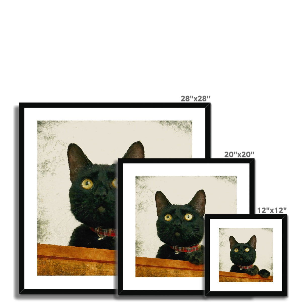 Black cat art prints with yellow eyes and red plaid collar in 12x12, 20x20, 28x28 inches - Juno pet portraits Scotland UK