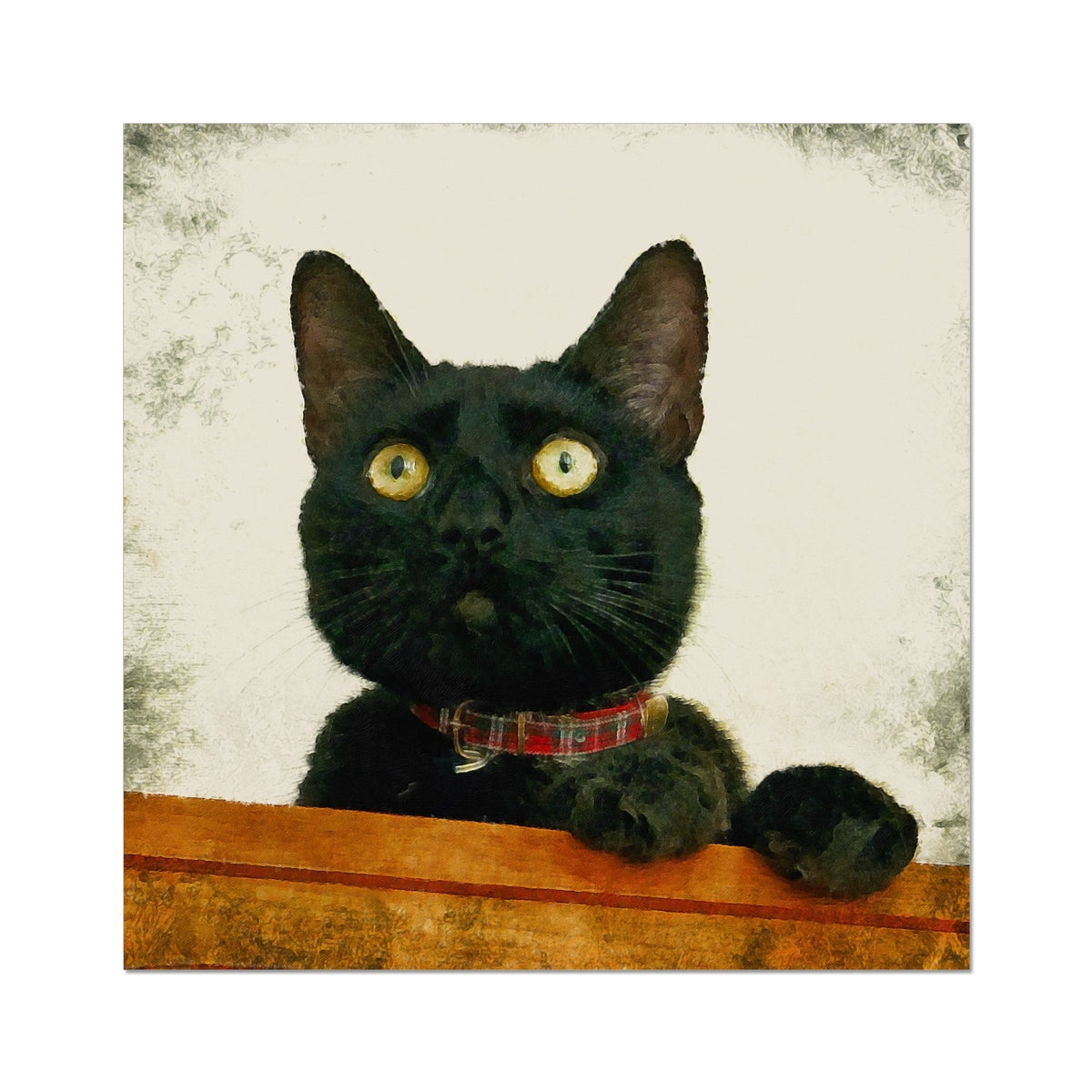 Juno black cat with yellow eyes and plaid collar on orange wood print