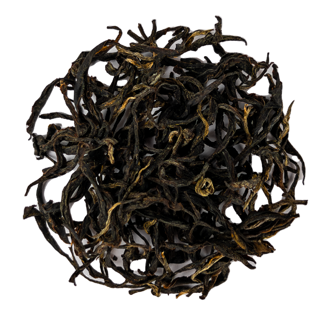 Pile of dark twisted tea leaves with golden tips, Kinnettles Gold Scottish grown tea