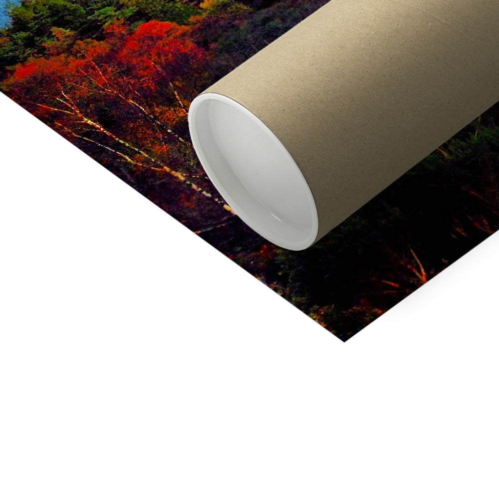 Brown cardboard tube with autumn foliage wrapping paper for Plockton print