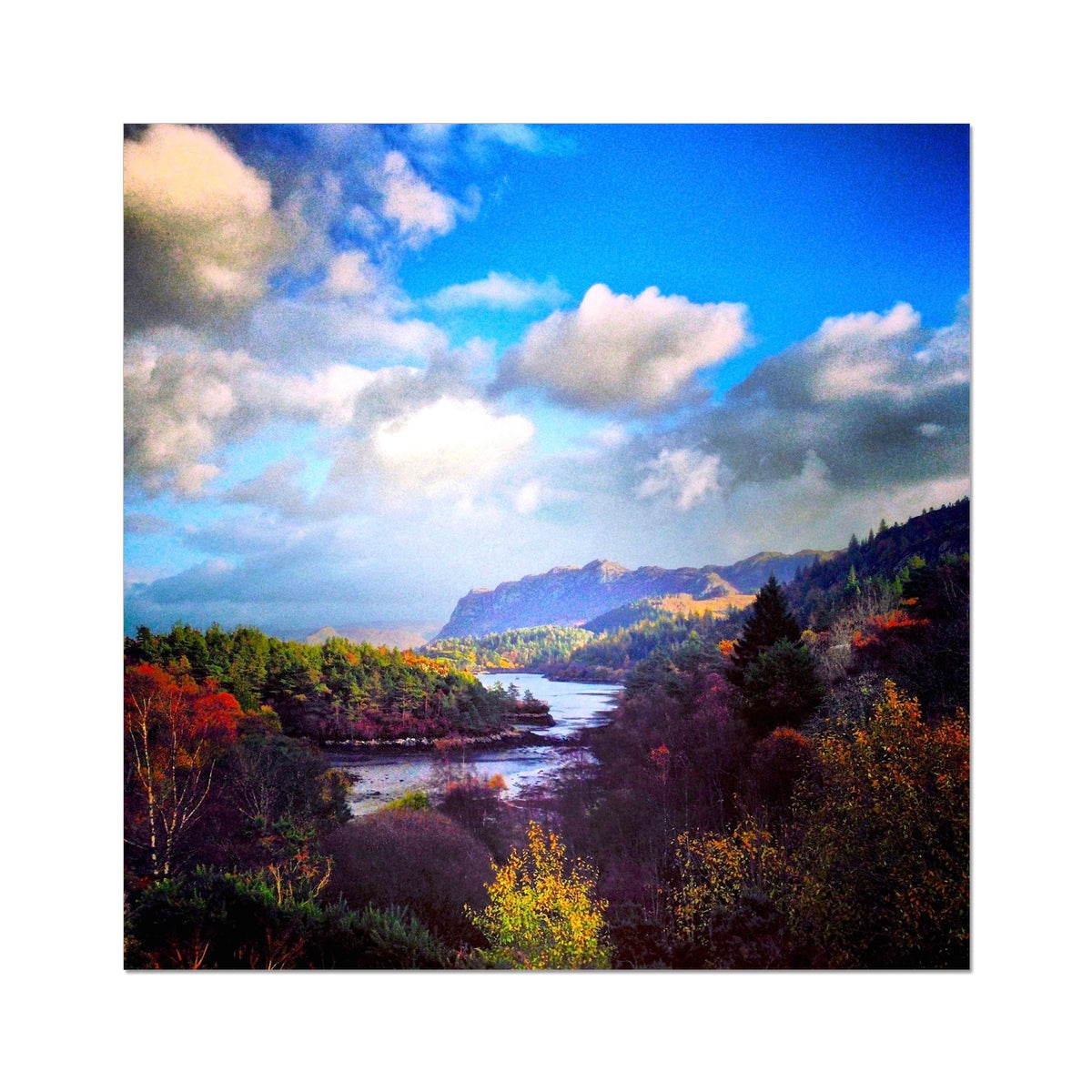Plockton Artist Proof print of blue sky, fluffy clouds, autumn foliage