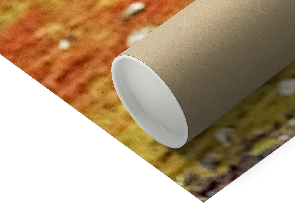 Sea Eagle Fine Art Print of brown cardboard tube on orange yellow textured corner