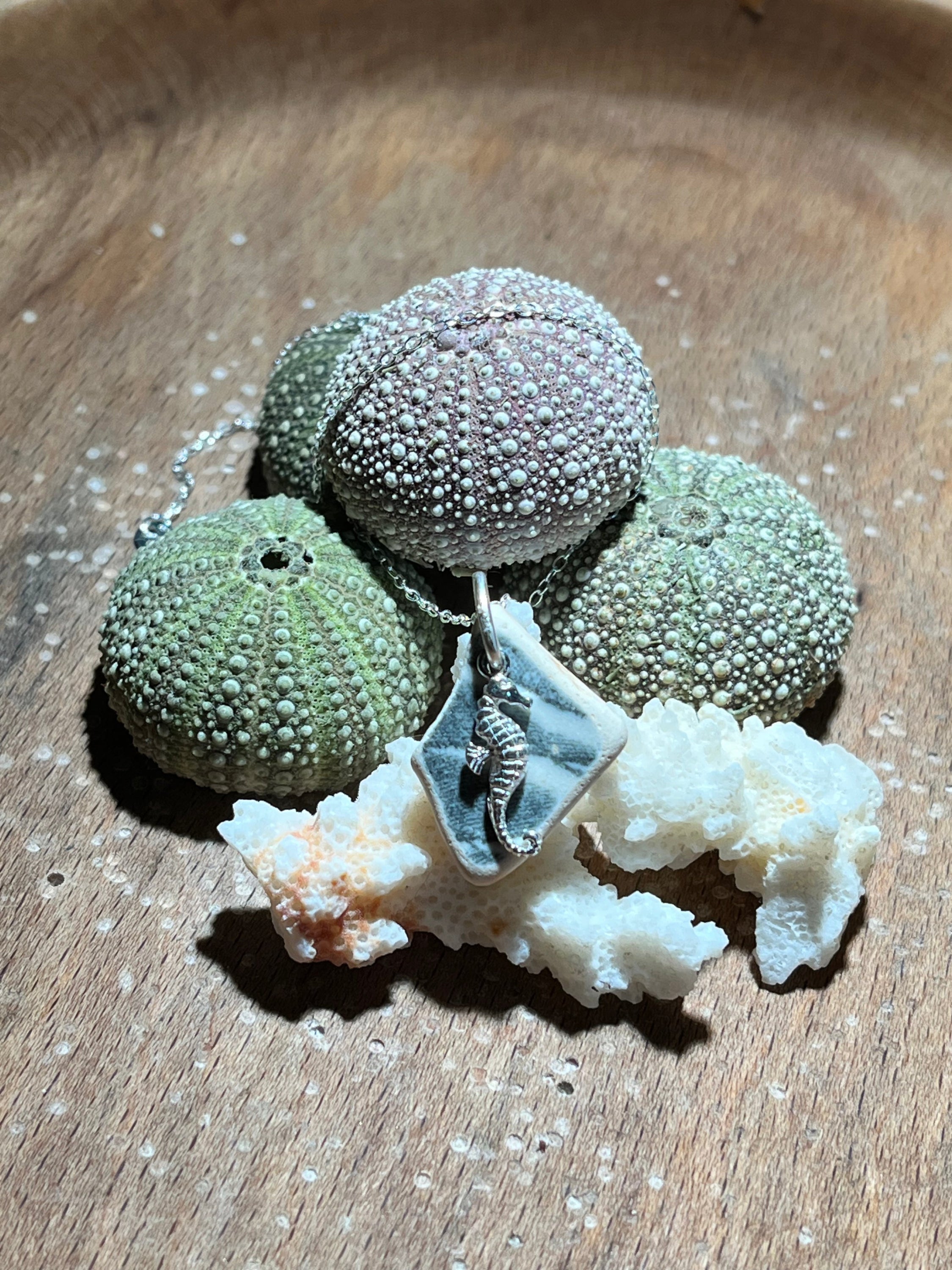 Seahorse pendant on a chain resting on sea urchin shells and coral for Seahorse 925 pendants