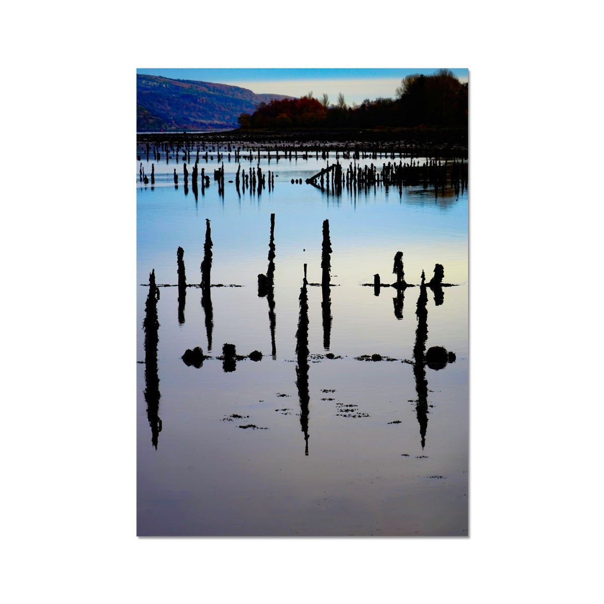 Silhouetted wooden pilings in calm reflective water at twilight, Timber Ponds at Port Glasgow fine art print