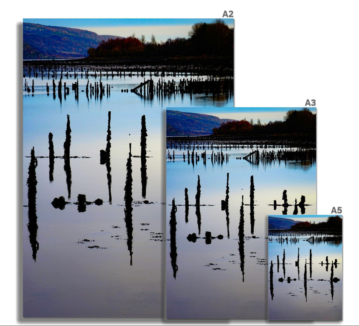 Timber ponds at port glasgow fine art print of a serene silhouette of wooden posts reflected on calm water printed on matte paper