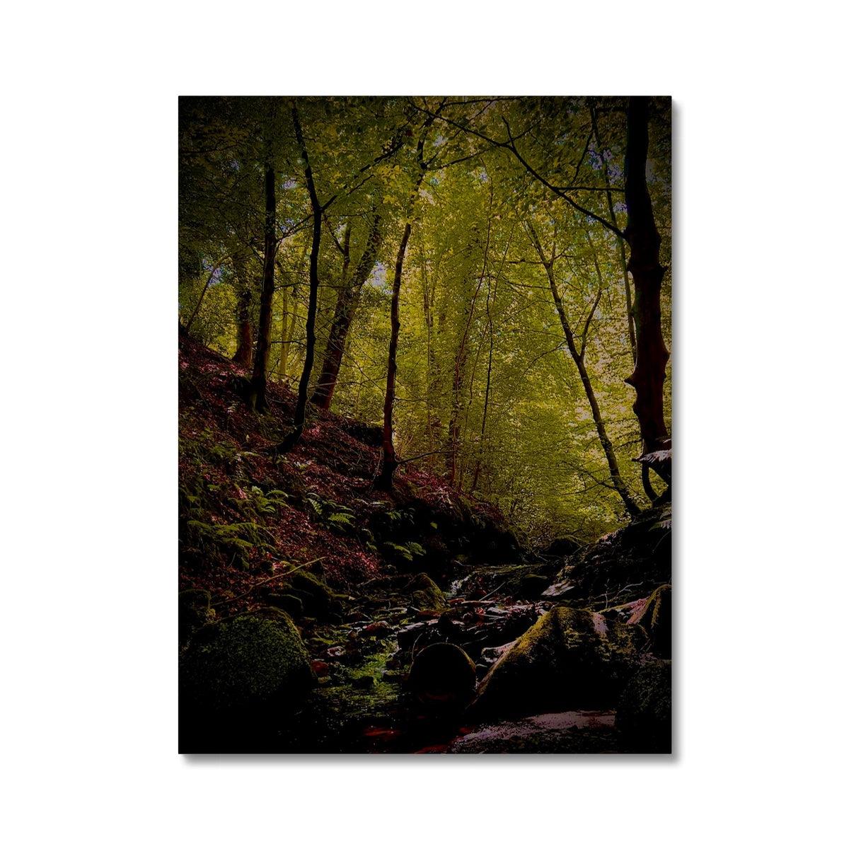 A Shaded Scottish Glen | Scottish Landscape Photography | Canvas