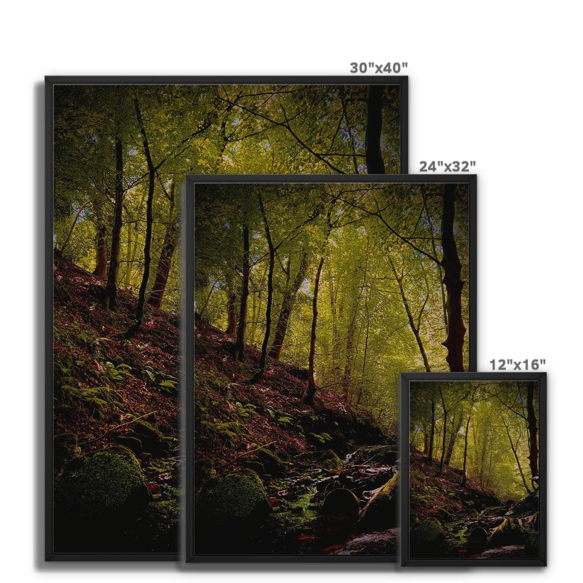 A Shaded Scottish Glen | Scottish Landscape Photography | Framed Canvas