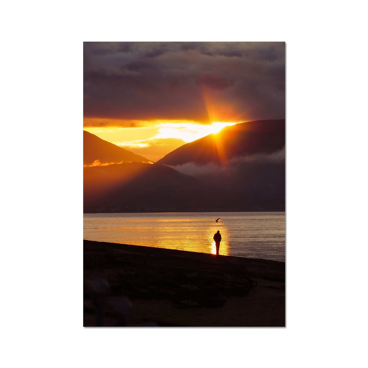 Reflecting at Sunset Fine Art Print