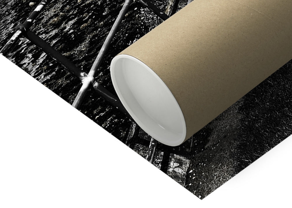 Life saver - RED Fine Art Print