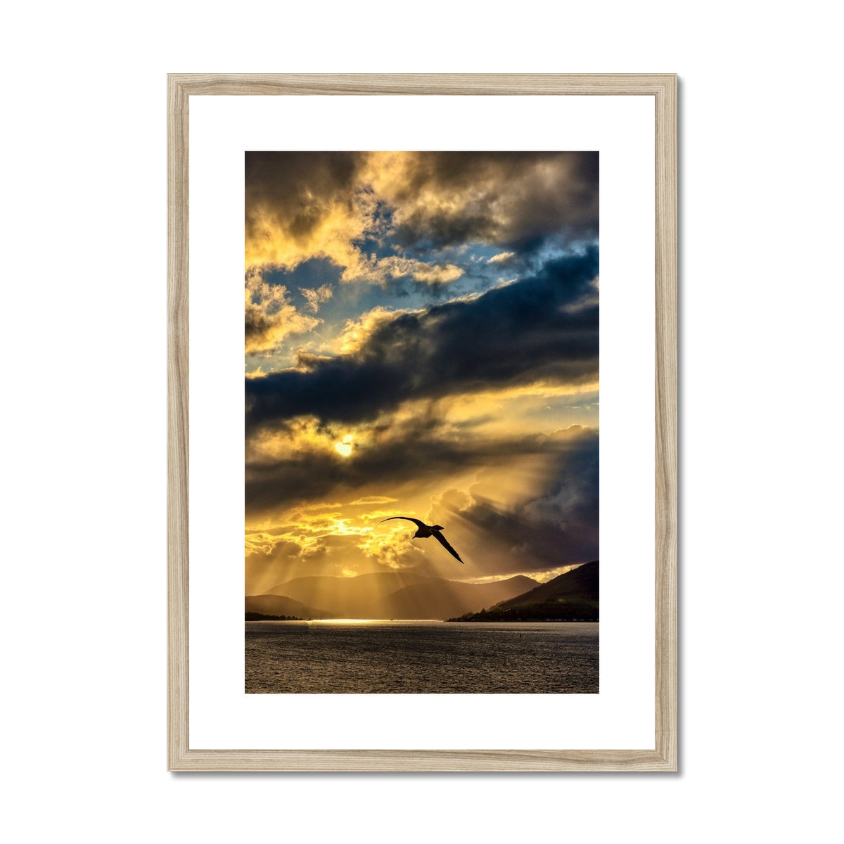 A Clyde Seagull Sunset bird flying over dramatic clouds art print