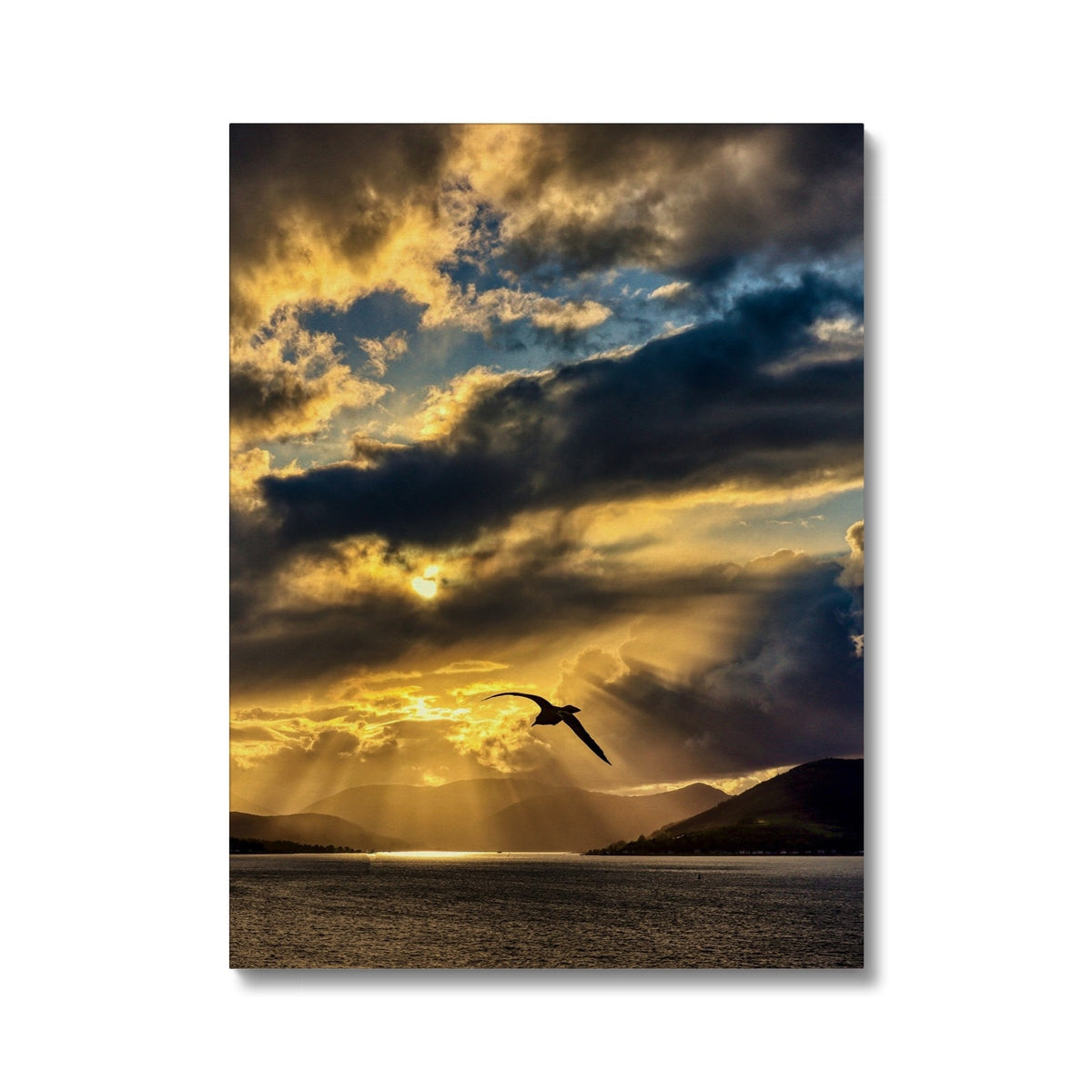 Golden sunset canvas print with flying bird silhouette and dramatic clouds