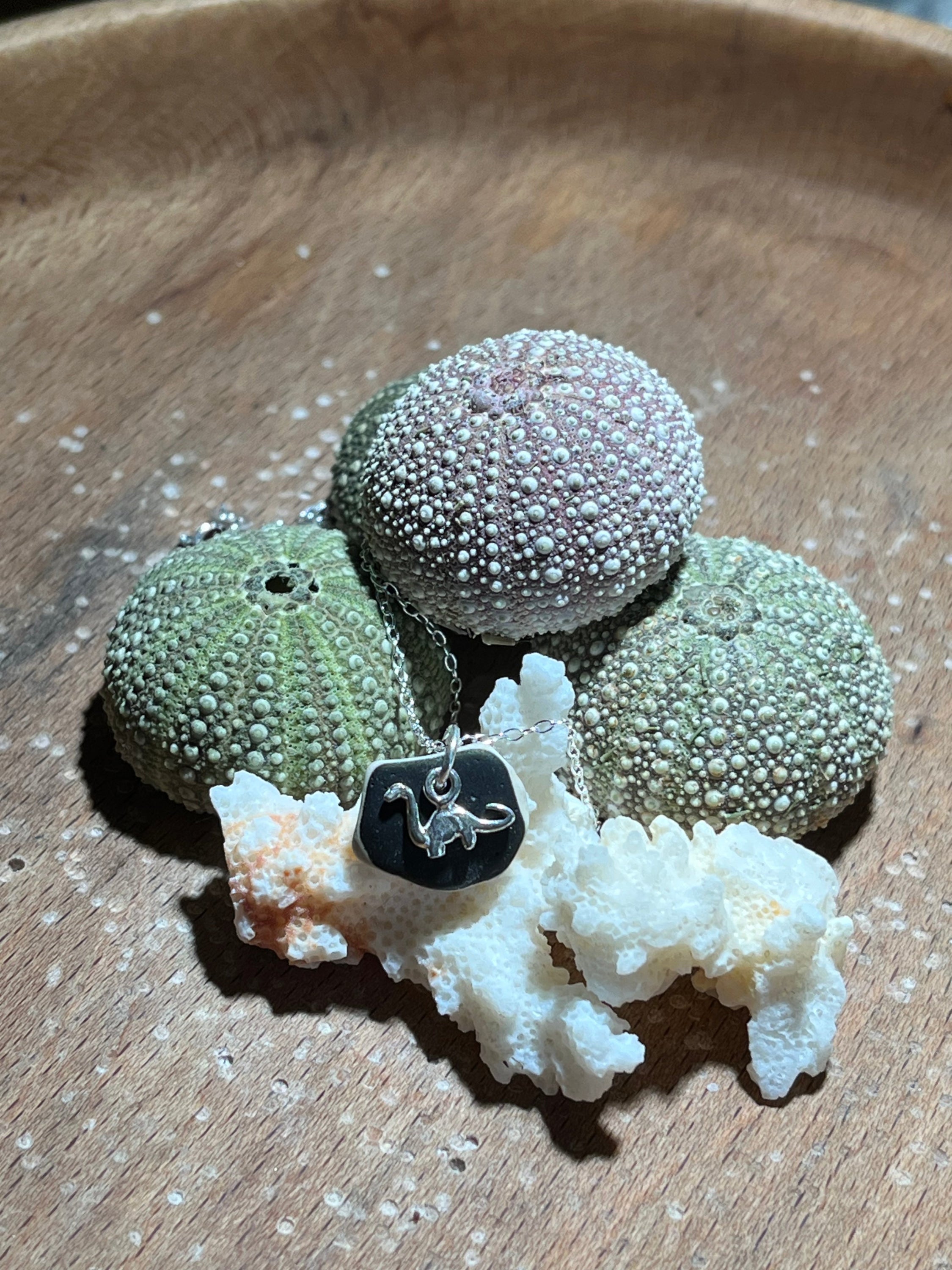 Silver Dinosaur Pendant on Black Rectangular Charm for Dinosaur 925 Pendants