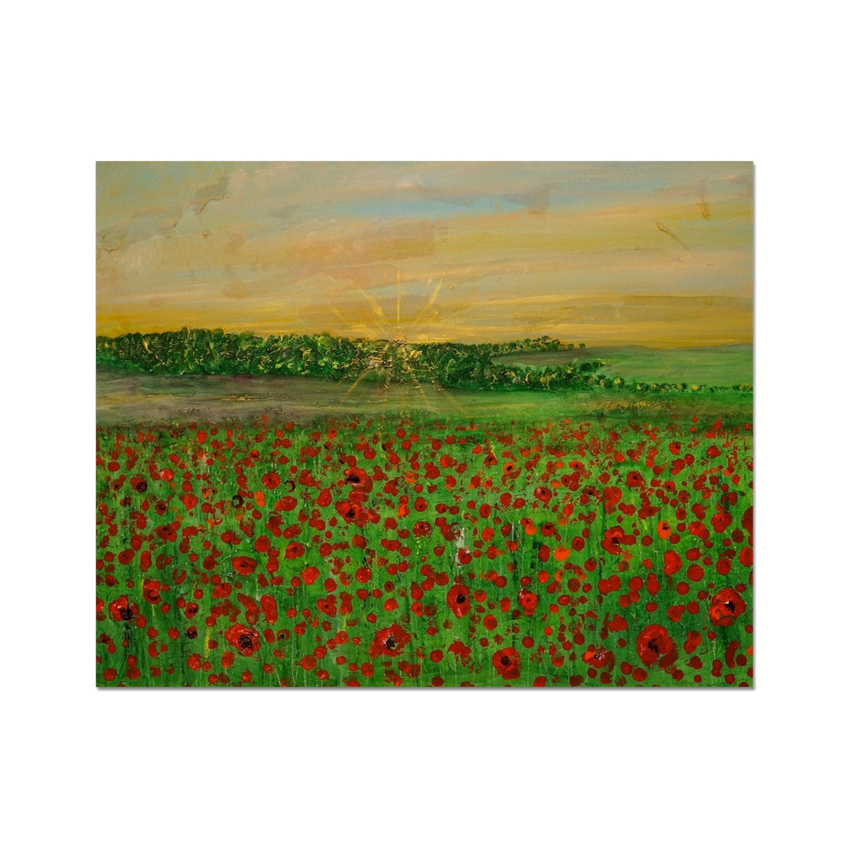 Flanders Fields Artist Proof Collector Print - World Art Gallery Scotland - Free Shipping Worldwide