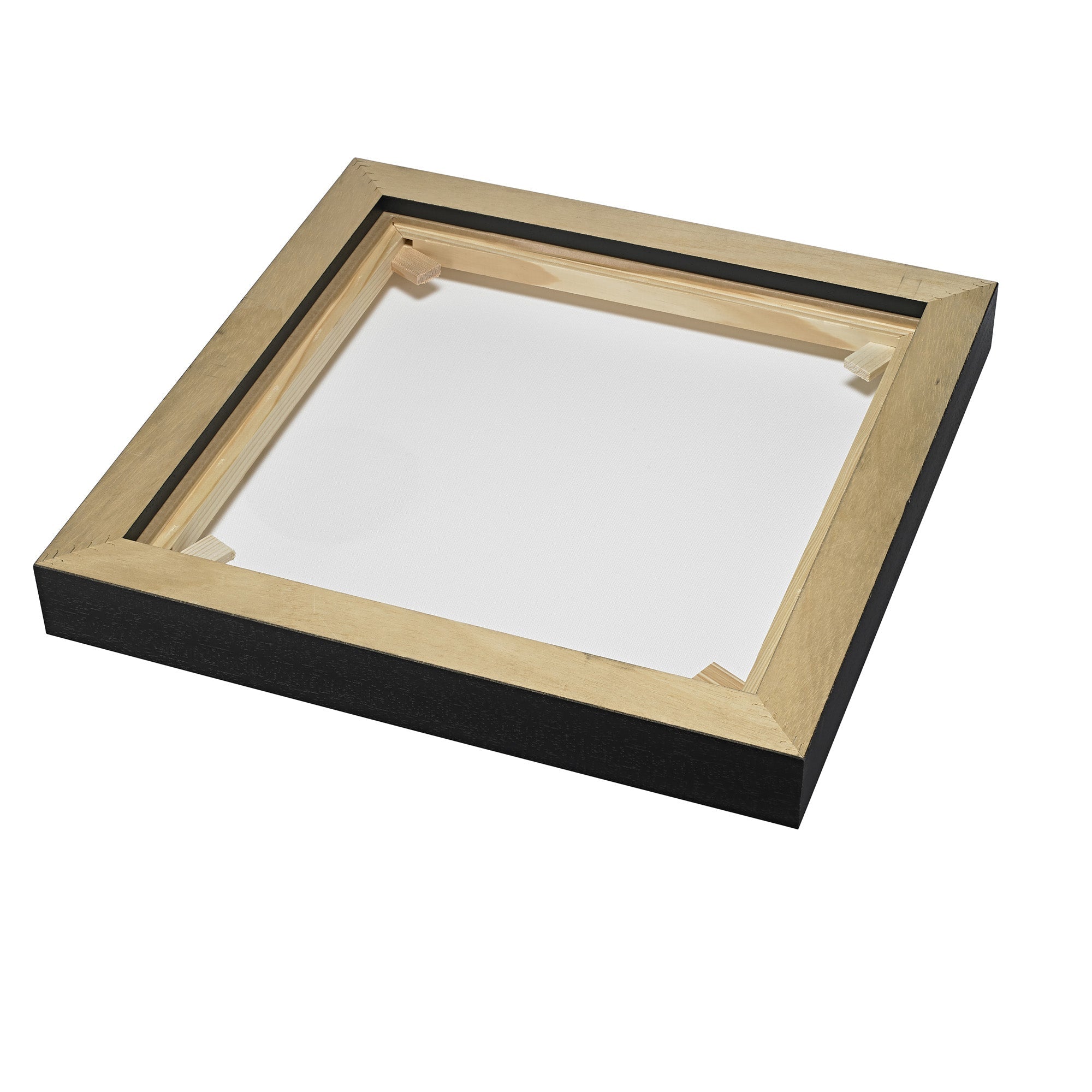 Black and gold floating frame with white canvas