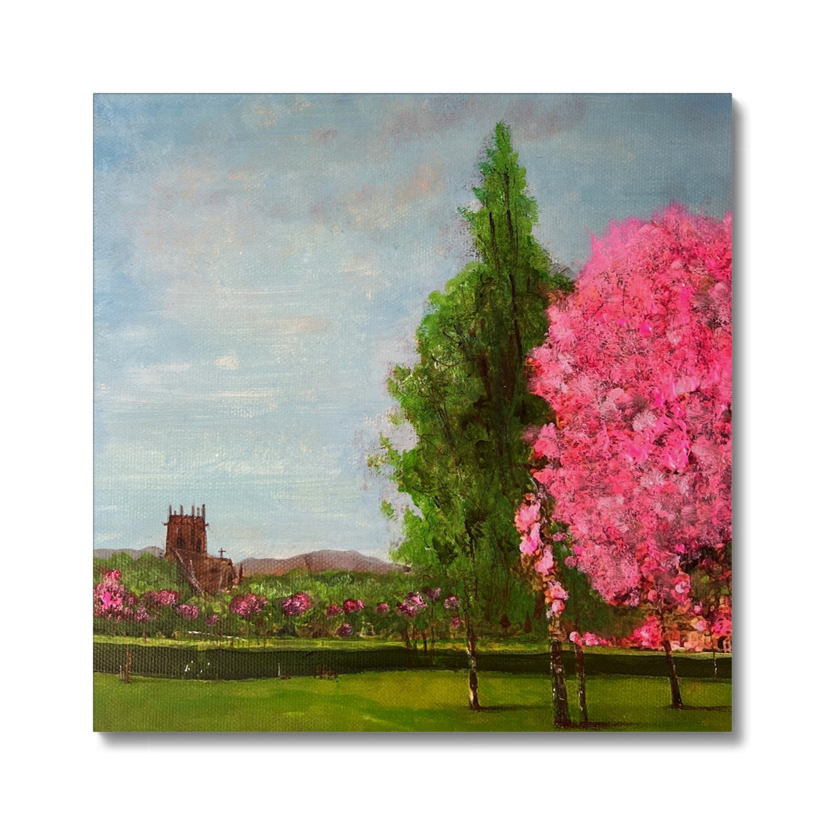 Pink cherry blossom tree in Harrison Park Edinburgh canvas print