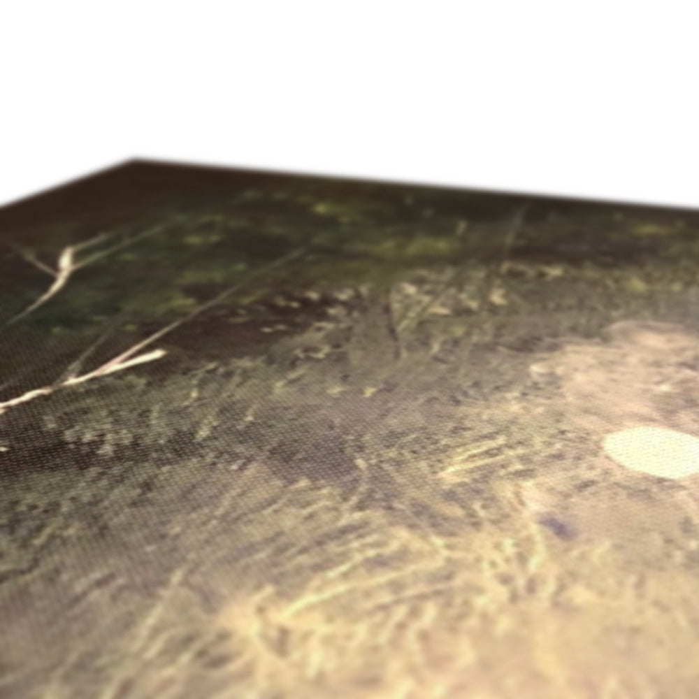 A Highland Moonlit Wood ii Canvas Prints - Highlands & Lowlands Art Gallery Scotland - Free Shipping Worldwide