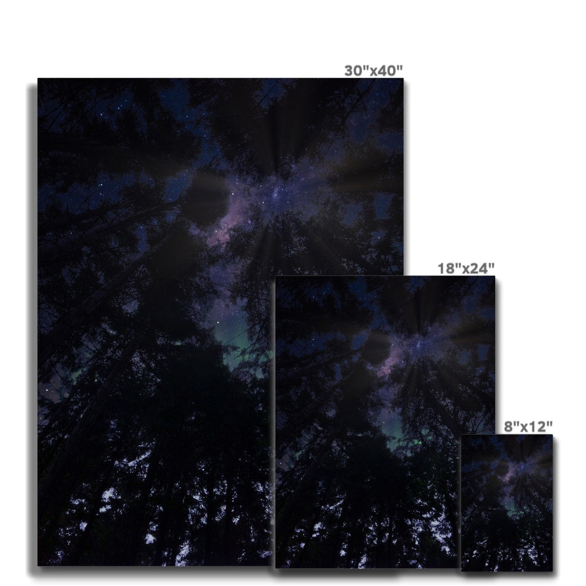 30x40 Highland Wood Starlight starry night sky canvas print