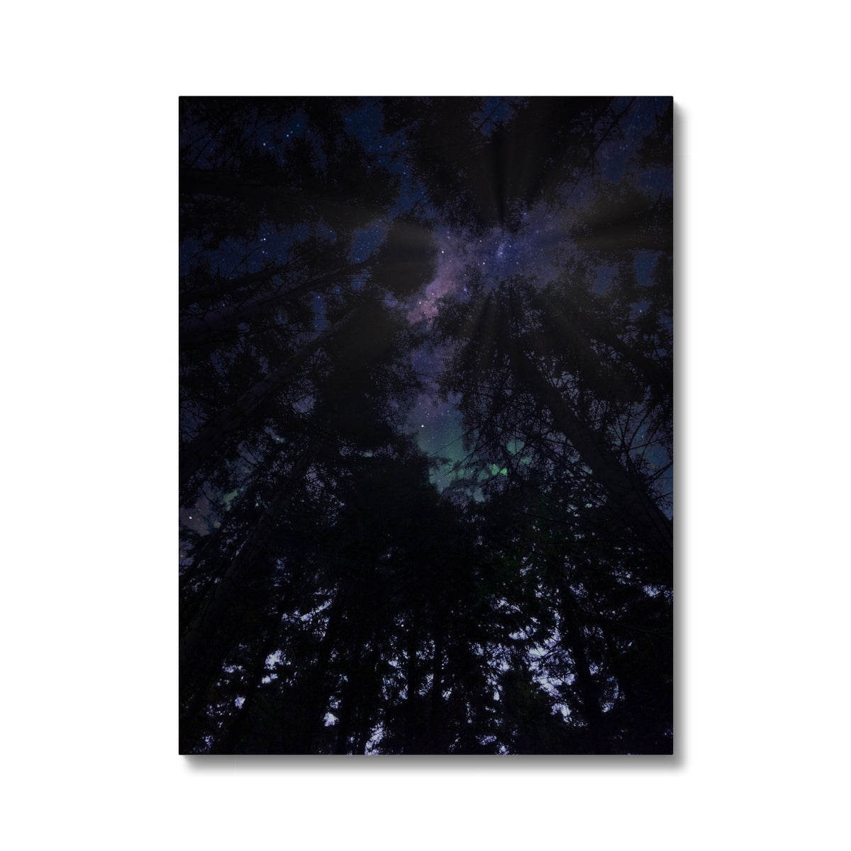 Highland Wood Starlight Canvas Print of Dark Forest Night Sky Stars