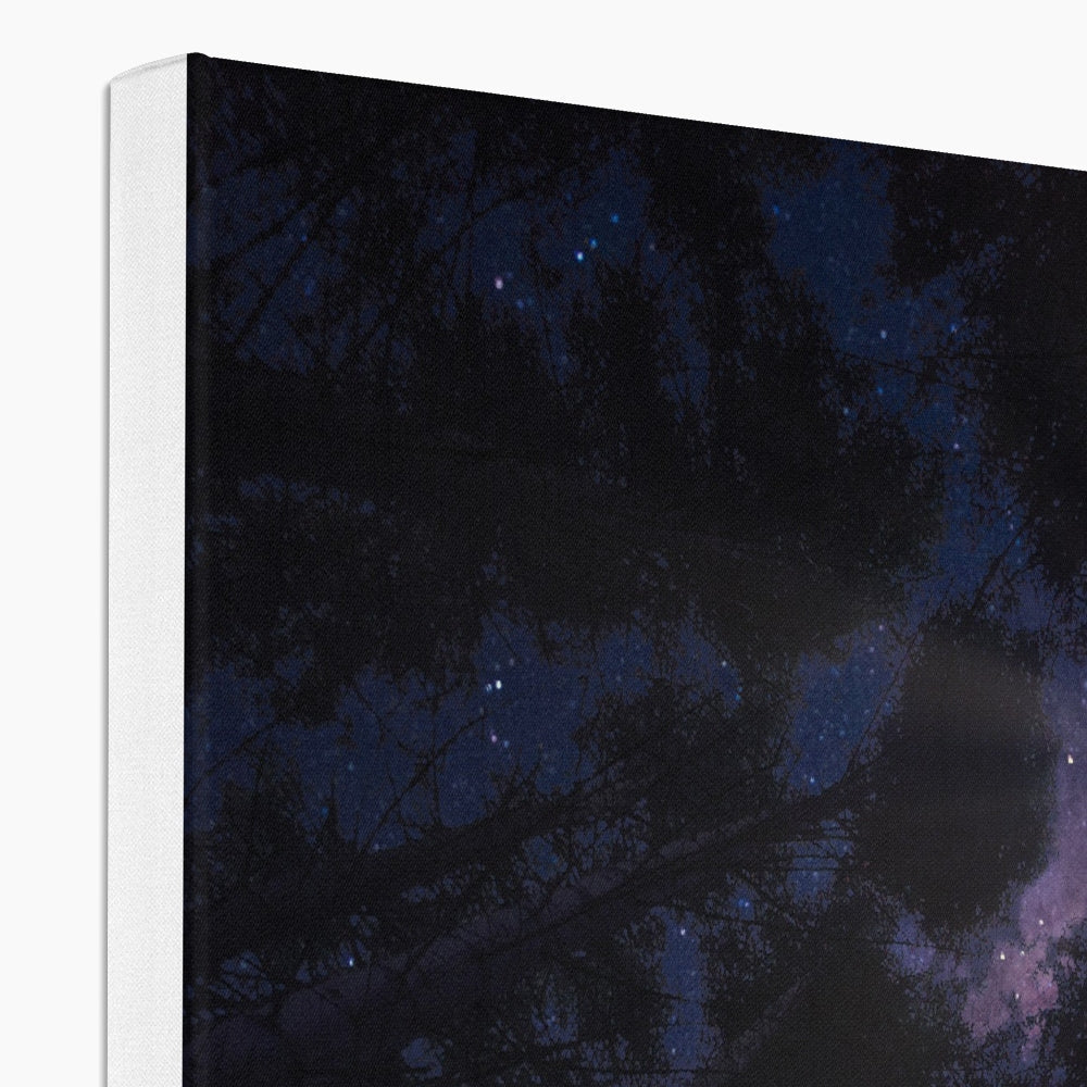 Highland Wood Starlight Canvas Print of Swirling Starry Night Sky
