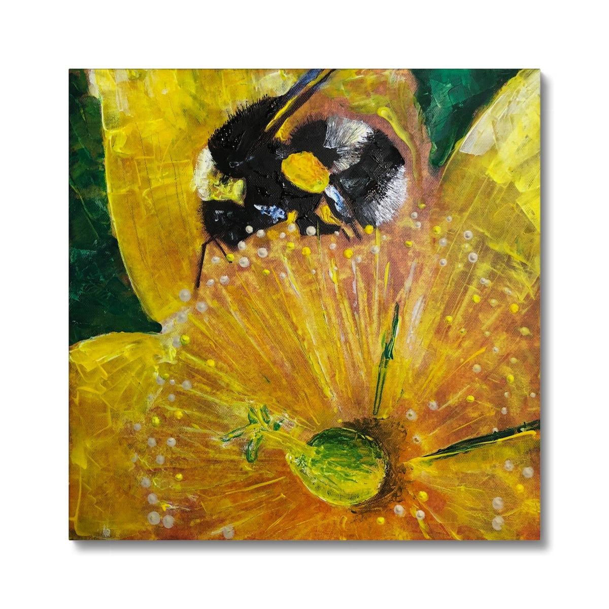 Yellow and black floral canvas art with bee, Hypericum & The Bee prints