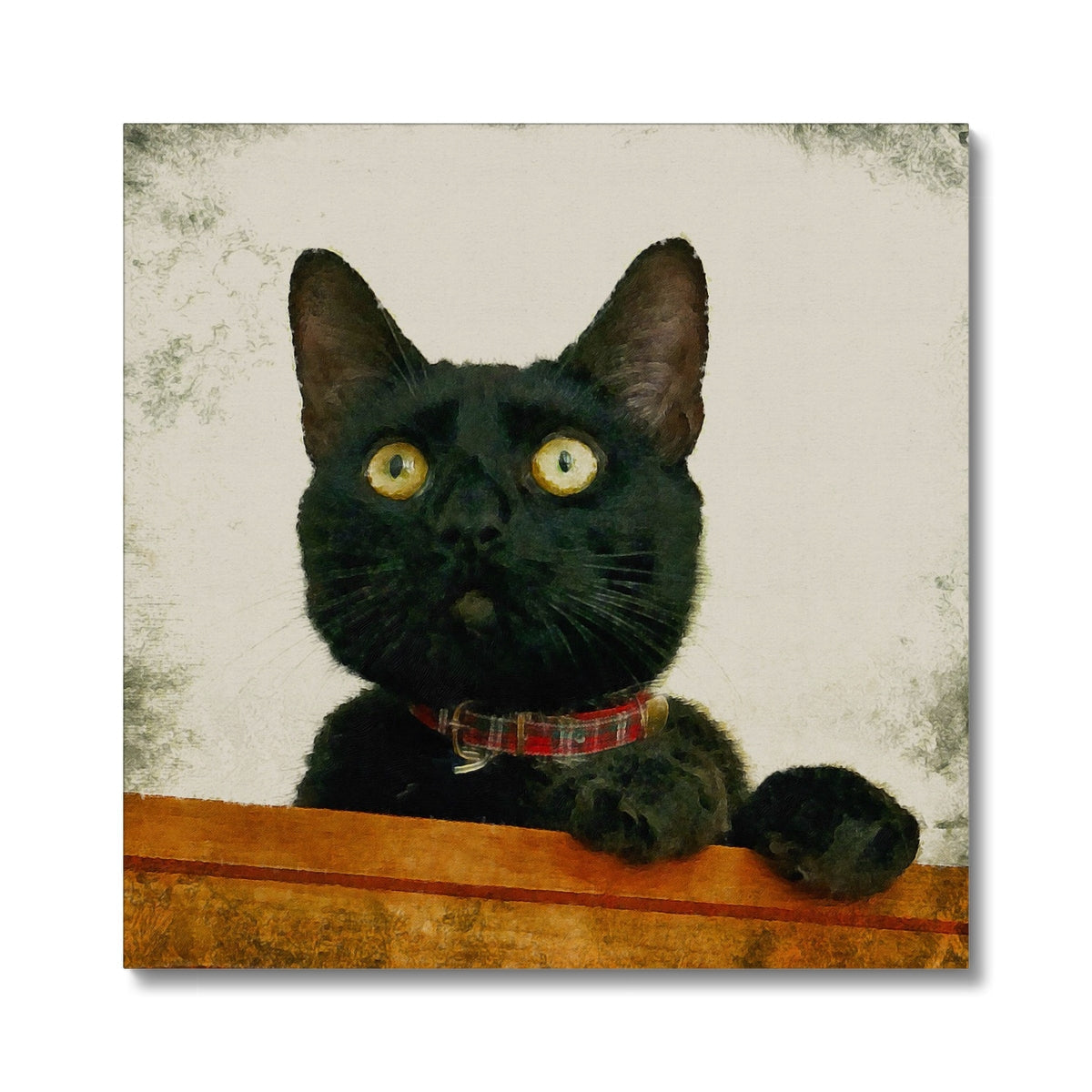 Juno black cat portrait with yellow eyes and plaid collar on orange wood, canvas print