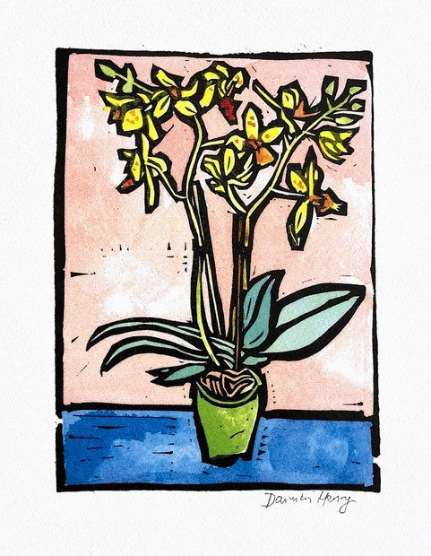 Stylized potted yellow green orchid in light green pot, large pink Flowers framed Damian Henry print