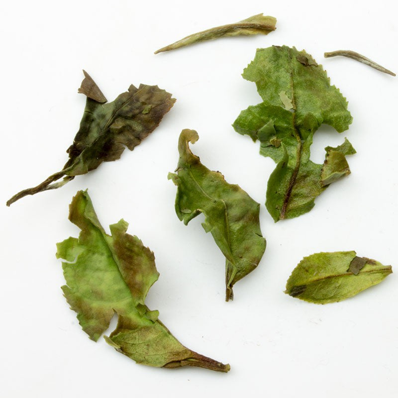 Dried pai mu dan white tea leaves with light and dark green hues and slightly curled edges with natural imperfections