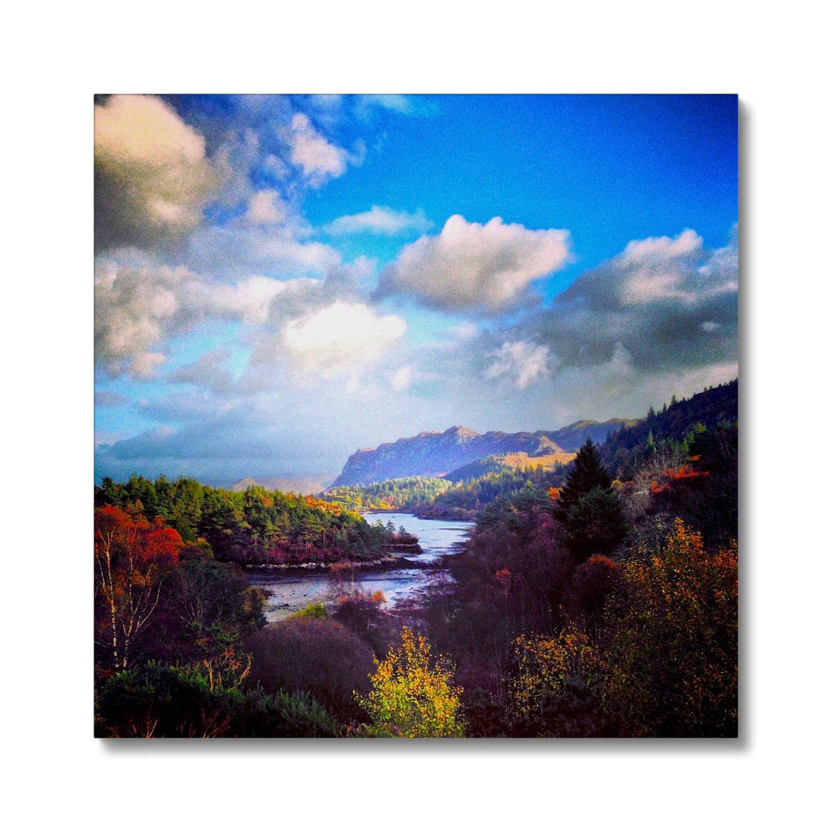 Plockton Canvas Prints: Blue Sky with White Clouds and Autumn Foliage